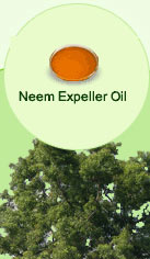 Neem Expeller Oil